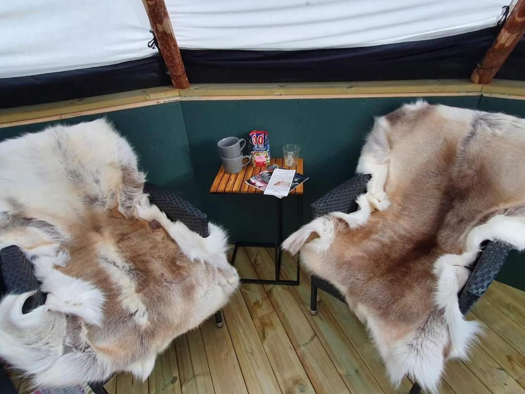 Reindeer Lodge Jukkasjärvi Eksteriør billede