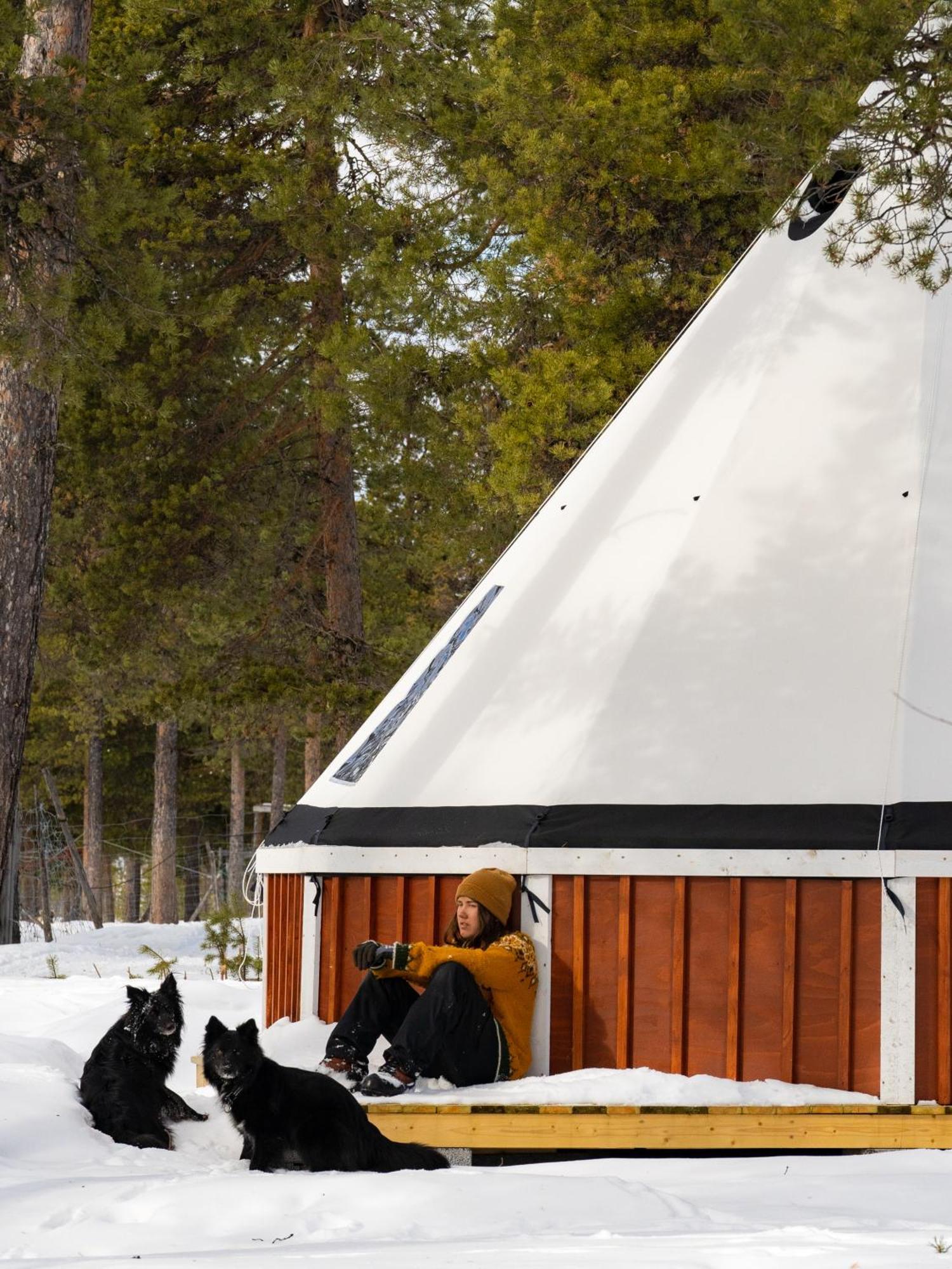 Reindeer Lodge Jukkasjärvi Eksteriør billede