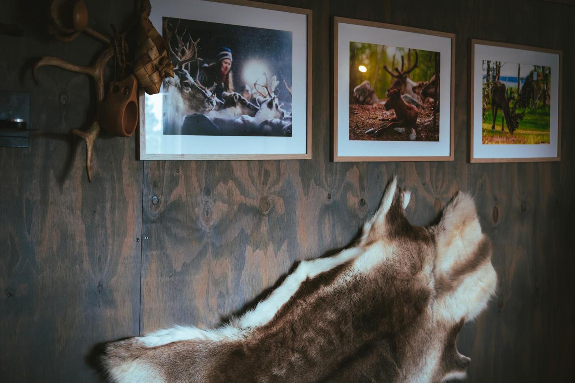 Reindeer Lodge Jukkasjärvi Eksteriør billede